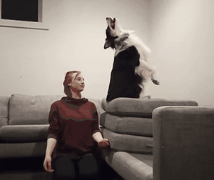 妹子把狗当男票养，网友看了都超羡慕！-17.gif