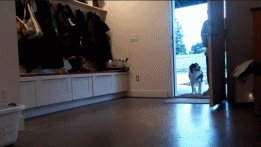 妹子把狗当男票养，网友看了都超羡慕！-21.gif