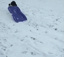 妹子把狗当男票养，网友看了都超羡慕！-24.gif