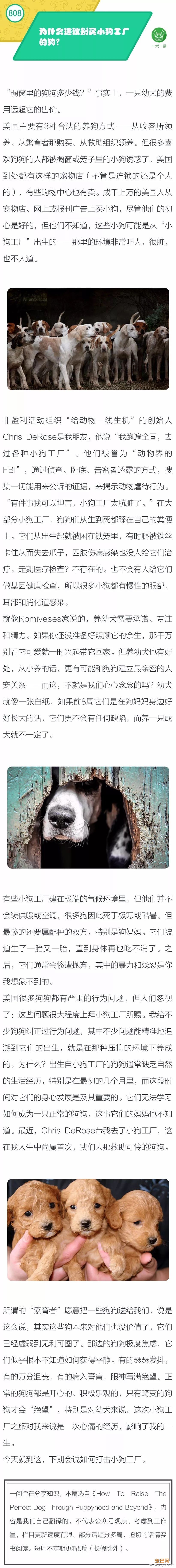 为什么建议别买小狗工厂的狗？-1.jpeg
