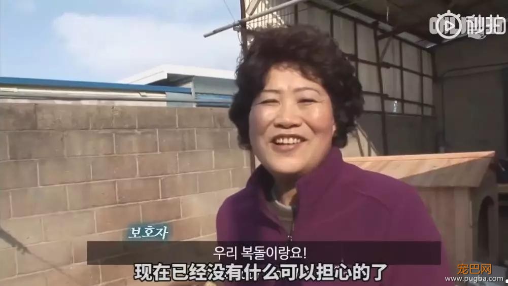 狗狗宁愿睡雪地也不进狗窝，这背后的原因，值得每个铲屎官反思-19.jpg