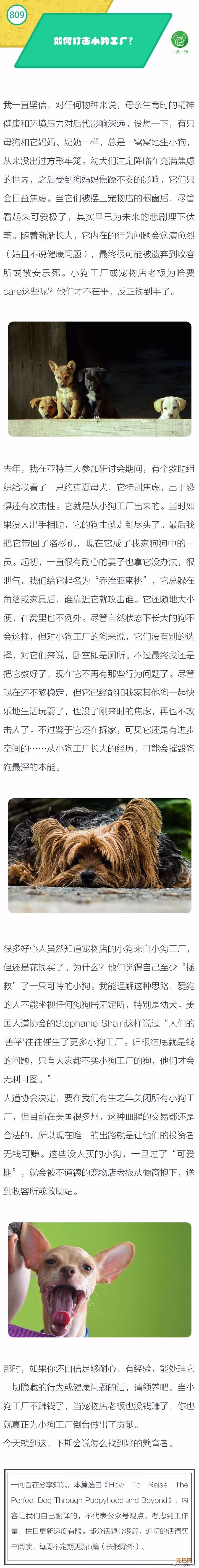 如何打击小狗工厂？-1.jpeg