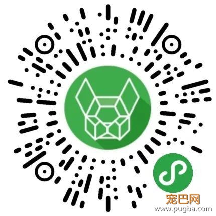 为什么夏季降温方式那么多，你只想到给狗喝水？-21.jpeg