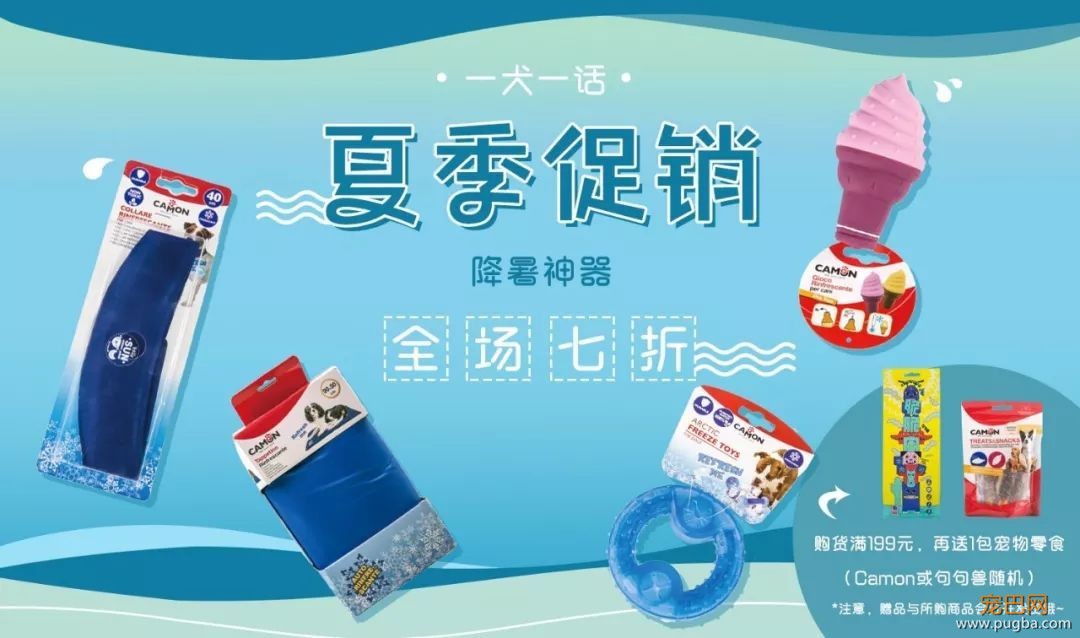 汪星人的兴趣爱好已经这么广泛了？轮滑666啊-15.jpeg
