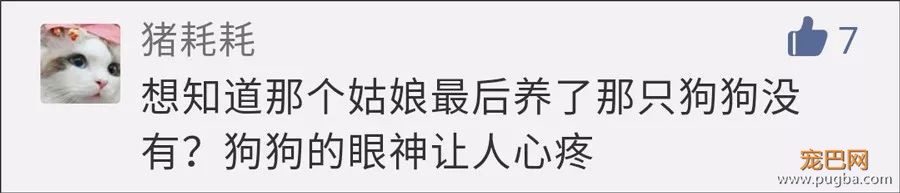 更新！那个左右为难的女孩最终领养了Blue~-3.jpeg