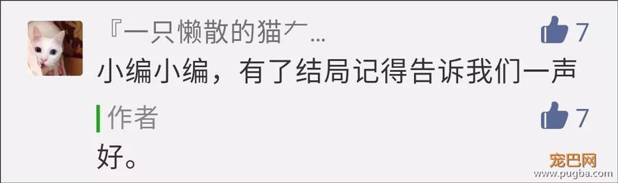 更新！那个左右为难的女孩最终领养了Blue~-4.jpeg