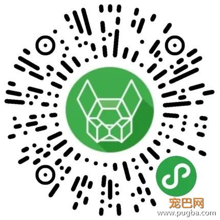 10个来自西泽 · 米兰的夏季养狗建议，你做到几个？-5.jpeg