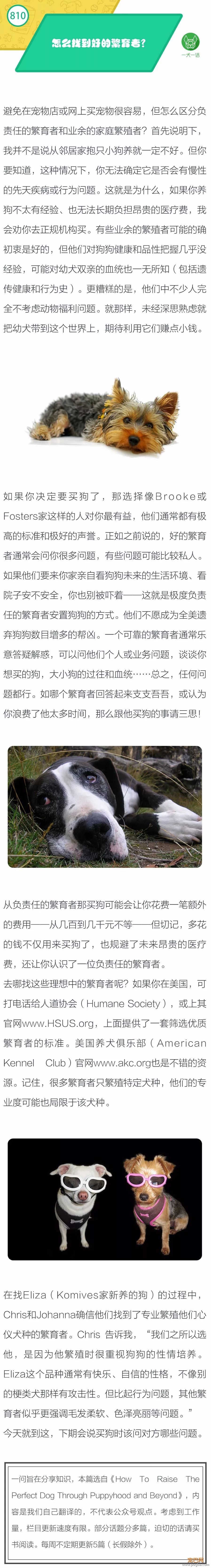 怎么找到好的繁育者？-1.jpeg