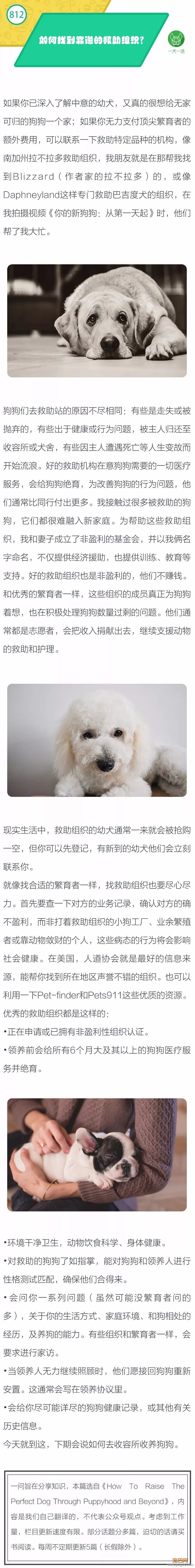 如何找到靠谱的救助组织？-1.jpeg