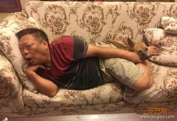 狗狗最近总是撅着屁股吃饭，铲屎官困惑不解，直到看见爸爸...-4.jpeg