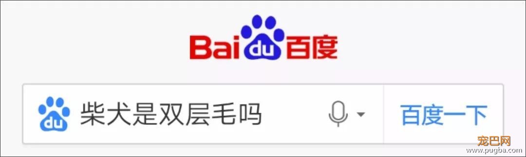 给双层毛狗狗剃毛？你大概是想毁了它吧-5.jpeg