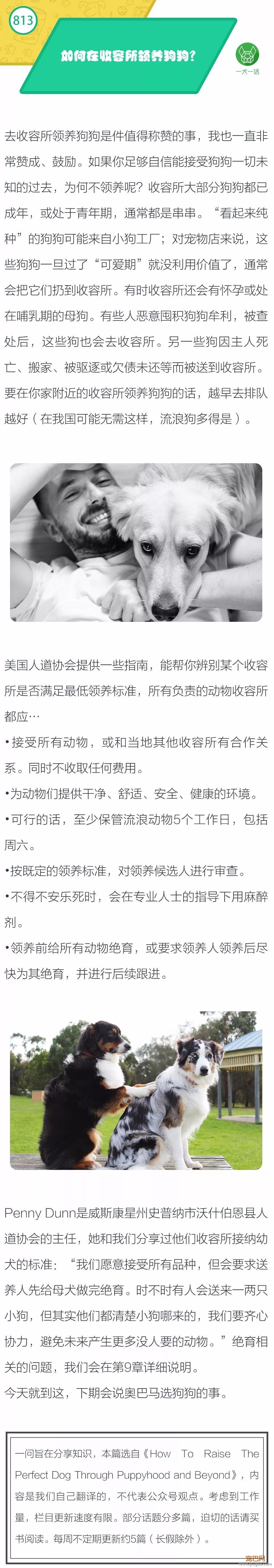 如何在收容所领养狗狗？-1.jpeg