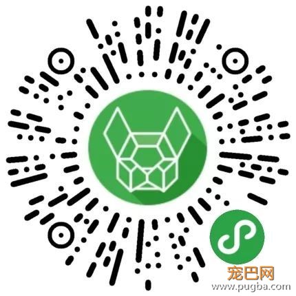 “经过坚持不懈地补钙，我家狗成功患上了骨科病”-13.jpeg