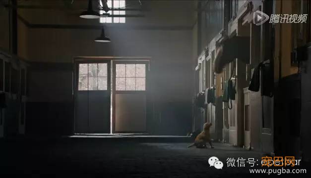 犬马情看哭好多人，只有爱狗的人才懂-4.jpeg