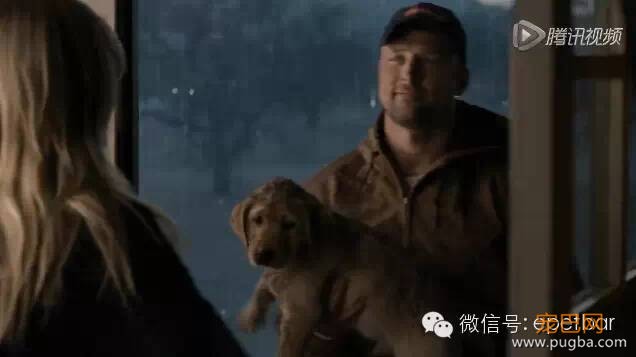 犬马情看哭好多人，只有爱狗的人才懂-11.jpeg
