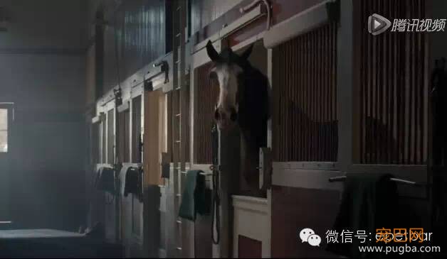 犬马情看哭好多人，只有爱狗的人才懂-10.jpeg