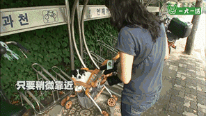 “这里有只小狗，在等它的奶奶”-2.gif