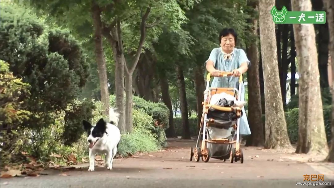 “这里有只小狗，在等它的奶奶”-6.jpeg