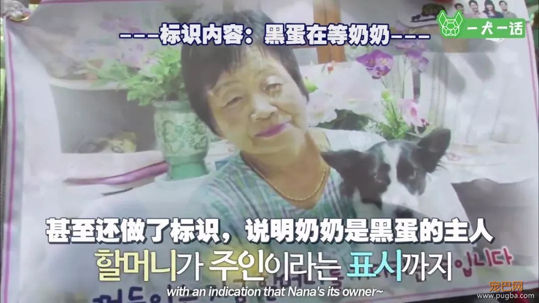 “这里有只小狗，在等它的奶奶”-13.jpeg
