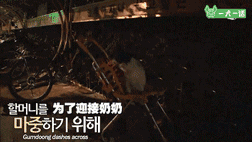 “这里有只小狗，在等它的奶奶”-10.gif