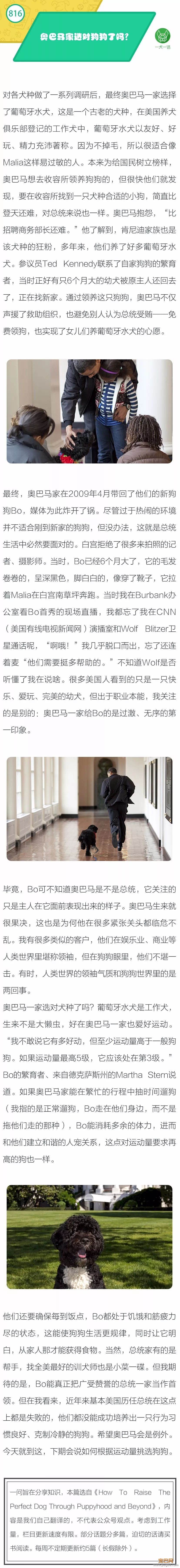 奥巴马家选对狗狗了吗？-1.jpeg