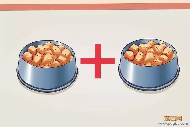 多少“慷慨”喂食的主人，硬是把狗喂成了猪-6.jpeg