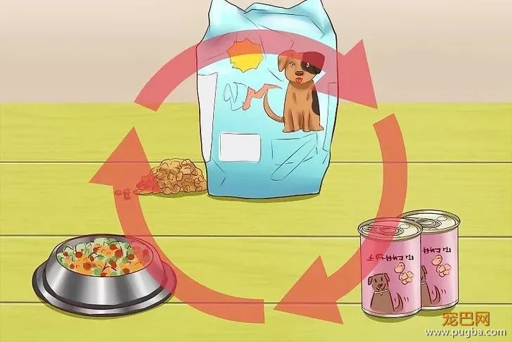 多少“慷慨”喂食的主人，硬是把狗喂成了猪-9.jpeg