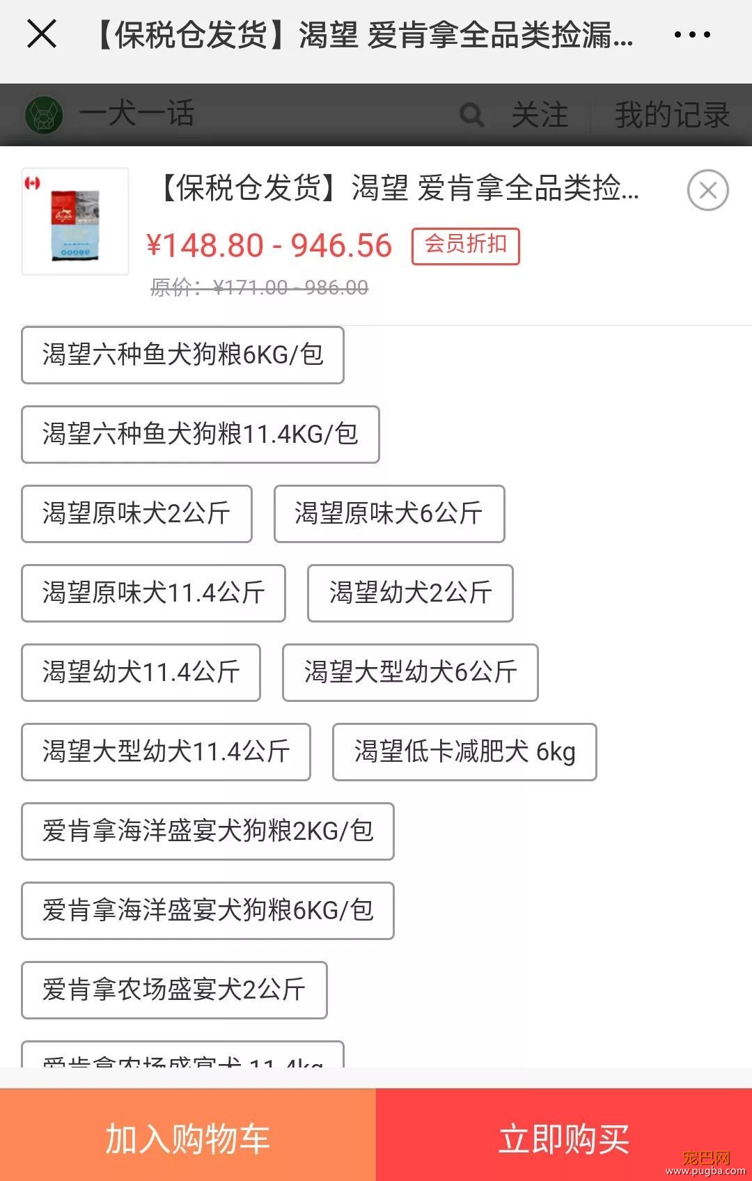 多少“慷慨”喂食的主人，硬是把狗喂成了猪-10.jpeg