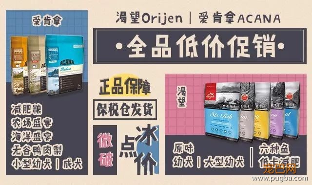 还敢给狗狗乱起名字？美国有只狗差点因此丧命……-4.jpeg