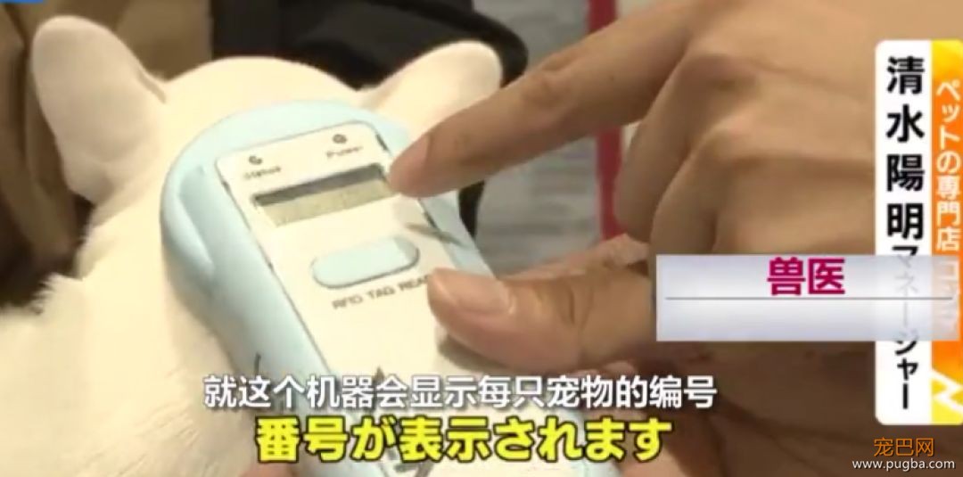 日本的这项动保新规，引国内网友热议：强烈建议我国推广！-2.jpeg