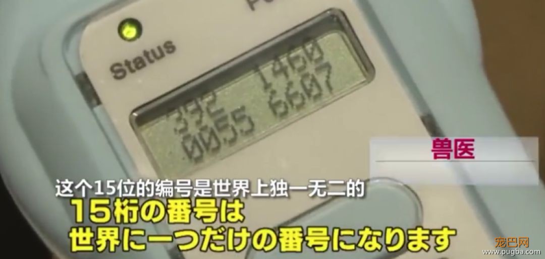 日本的这项动保新规，引国内网友热议：强烈建议我国推广！-3.jpeg