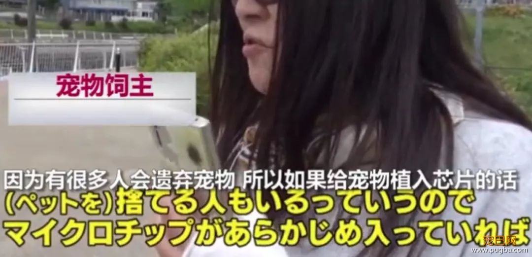 日本的这项动保新规，引国内网友热议：强烈建议我国推广！-4.jpeg