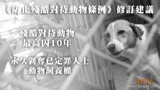 日本的这项动保新规，引国内网友热议：强烈建议我国推广！-10.jpeg