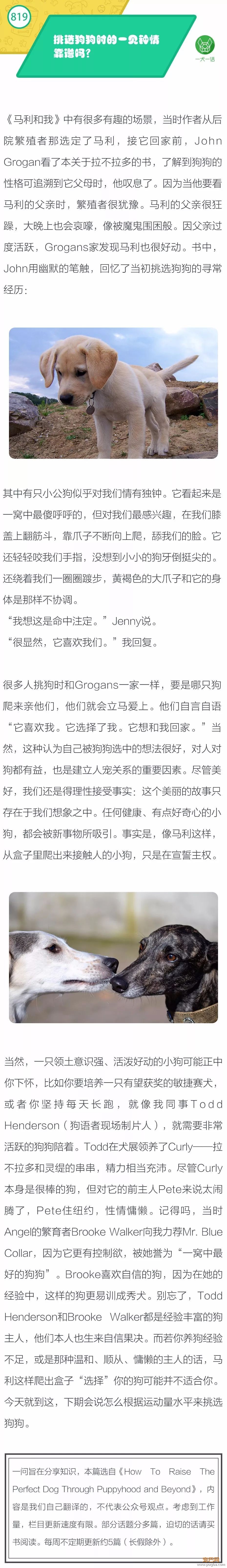 挑选狗狗时的一见钟情靠谱吗？-1.jpeg
