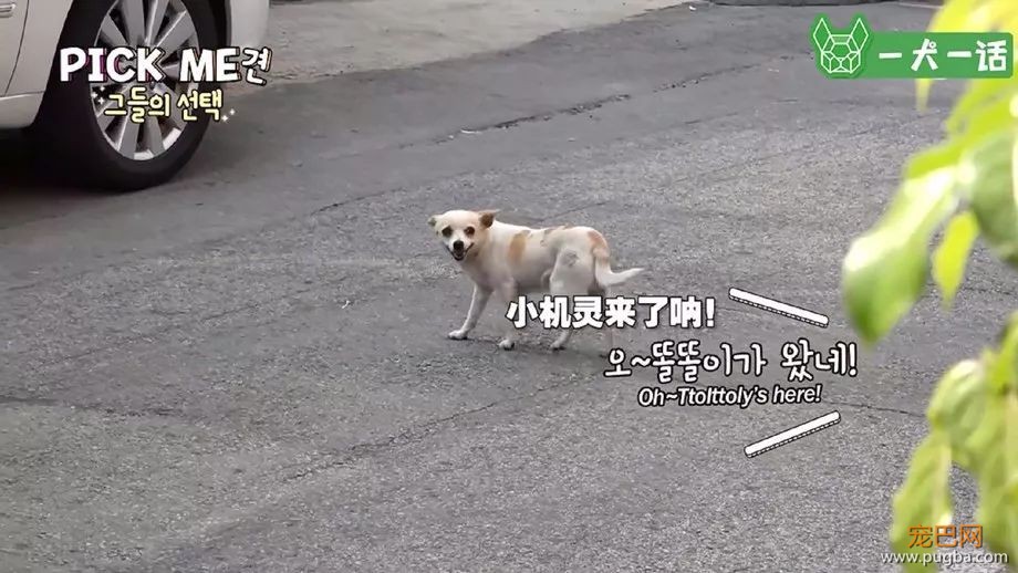 谢谢你，Pick Me-4.jpeg