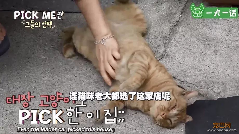 谢谢你，Pick Me-5.jpeg