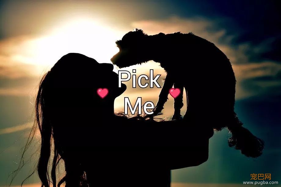 谢谢你，Pick Me-13.jpeg