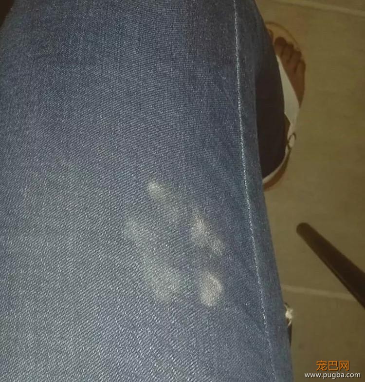 千万别告诉狗狗，你为啥知道它来过这儿……-10.jpg