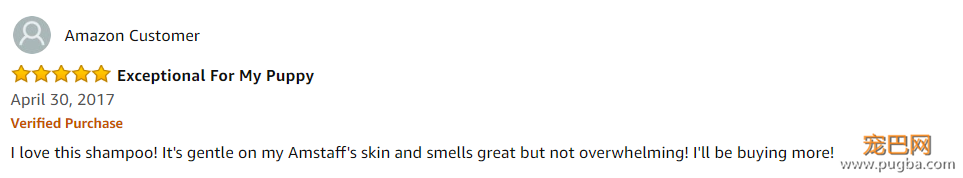 你的狗，正确洗澡了吗？-13.png