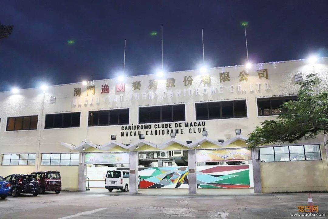 澳门赛狗场合同到期欲甩锅，原650只赛犬还有533只待安置…-3.jpeg