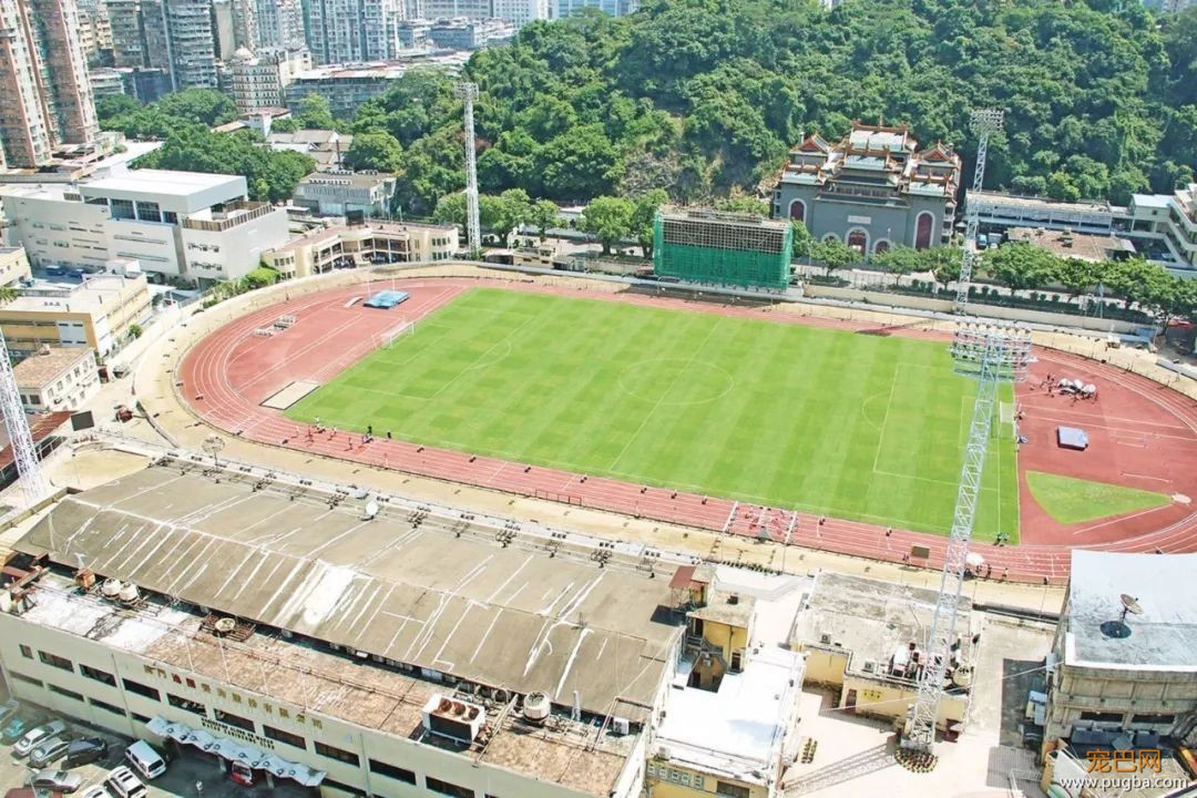 澳门赛狗场合同到期欲甩锅，原650只赛犬还有533只待安置…-4.jpeg