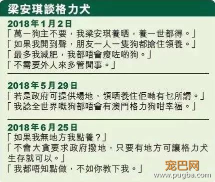 澳门赛狗场合同到期欲甩锅，原650只赛犬还有533只待安置…-6.jpeg
