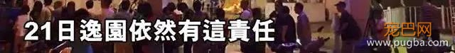 澳门赛狗场合同到期欲甩锅，原650只赛犬还有533只待安置…-23.jpeg
