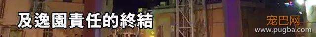澳门赛狗场合同到期欲甩锅，原650只赛犬还有533只待安置…-22.jpeg