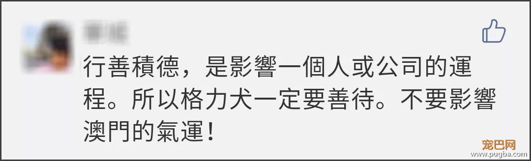 澳门赛狗场合同到期欲甩锅，原650只赛犬还有533只待安置…-25.jpeg