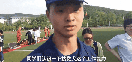 搜救犬进校园化身万人迷，消防员吃醋：狗比我受欢迎！-3.gif