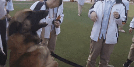 搜救犬进校园化身万人迷，消防员吃醋：狗比我受欢迎！-11.gif