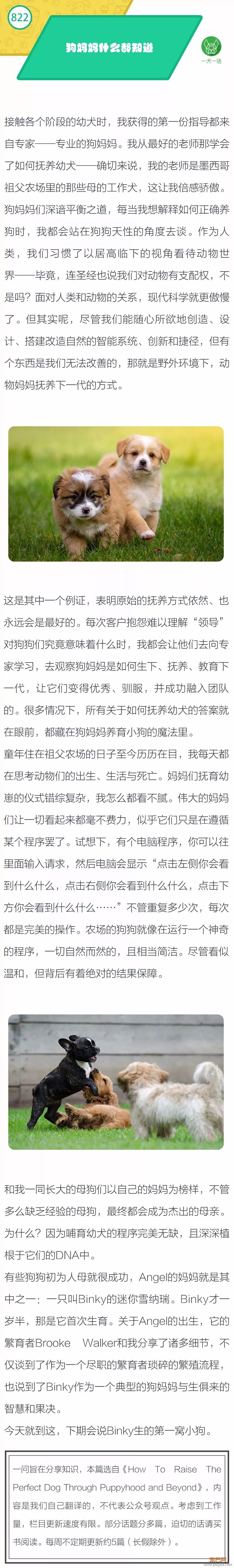 狗妈妈什么都知道-1.jpeg