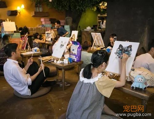 还怕养狗没组织？38°MAP带你和狗狗high翻魔都！-23.jpeg