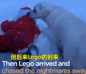 遇见你的时候，所有星星都落到我头上…-4.gif